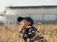 -菊园百果园