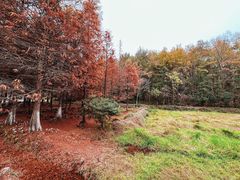 -南京市无想山景区
