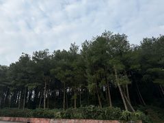 -綦江古剑山