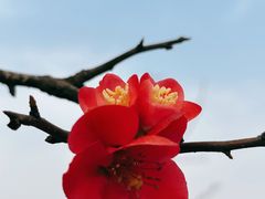 -国际非物质文化遗产博览园