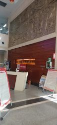 -河南中医药大学第一附属医院-医疗整形