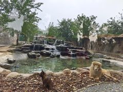 -北京野生动物园