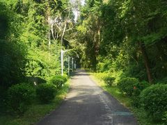 -紫马岭公园