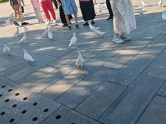 -天津妈祖文化园