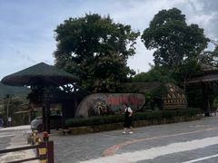 -海南槟榔谷黎苗文化旅游区