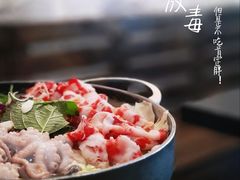 韩式铁板章鱼牛五花-青松大叔的店(东财店)
