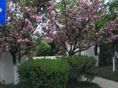 -沙河三洞古桥公园