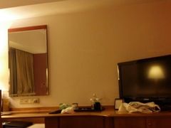 -新加坡富丽华河畔大酒店(SG Clean)