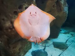-珠海长隆海洋王国