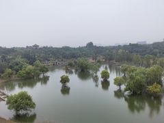 -北京园博大酒店