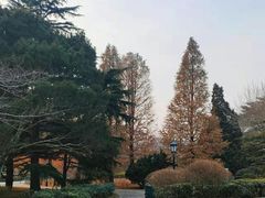 -汇泉广场