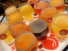 拳击猫啤酒壶-Boxing Cat Brewery拳击猫精酿啤酒馆(永福店)