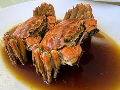 -苏启渔港(云南北路店)