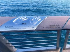 -星光大道