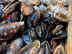 青口-杭州钱江新城万怡酒店-西餐厅