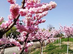 -西安汉城湖景区