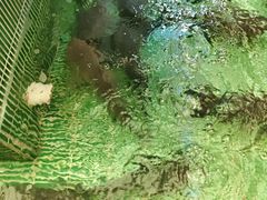 -鱼你相聚·河鲜馆(袁家岭店)