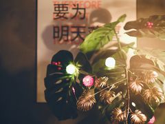 -顽啤猴精酿