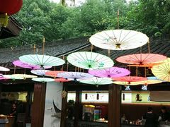 -天目湖山水园