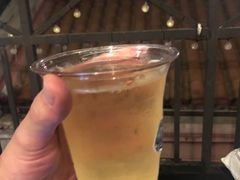 -麦落精酿啤酒餐吧(先农大院店)