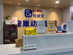 -宠颐生宠物医院·异宠猫科内科·诊疗中心宠巢店