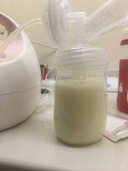 -海豚湾高端月子会所(黄浦店)