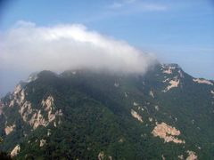 -王顺山国家森林公园