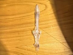 -老字号怡玺·藿香雅鱼(20年雅安店)