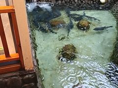 -耕渔小院·湖南鱼鲜(望城店)