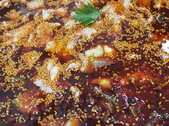 -川渔居—鱼火锅(八方汇店)
