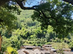-杨家堂村