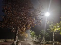 -金海湾滨江公园