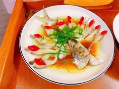 -爱的果实月嫂育婴师(世纪东方店)