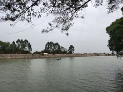 -大湾区中央湿地公园