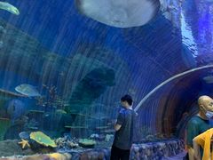 -华夏文旅海洋公园