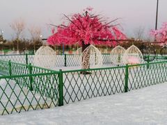 -绿野森林乐园冰雪季