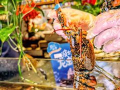 -亚马逊蒸汽活海鲜自助(LCM置汇旭辉广场店)