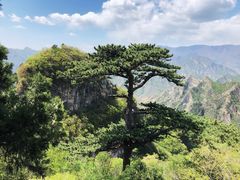 -圣莲山风景区