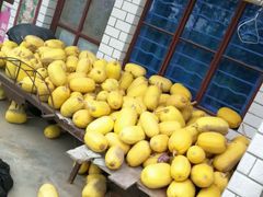 -小六农家乐(崇明西沙湿地店)