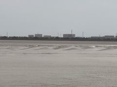 -观潮胜地公园