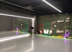 -欲非舞蹈