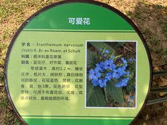 -东莞植物园