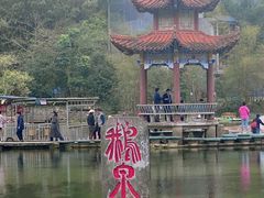 -靖西鹅泉风景区