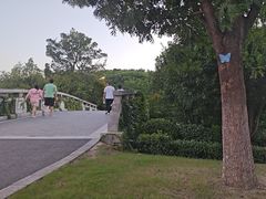 -昆山城市生态森林公园