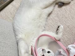 -太原东方动物医院(小店分院)