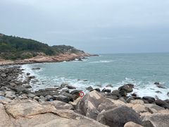 -广东惠东海龟国家级自然保护区