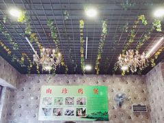 -杨记山珍鸡煲菌汤锅
