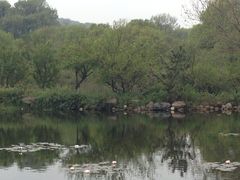 -白马涧龙池景区