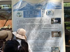 -青藏高原野生动物园