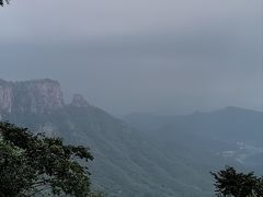 -雾与山茶(大禹城店)